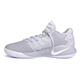 Nike Hyperdunk 2016 Low "Wolf Grey" (010/wolf grey/white/platinum)