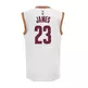 Adidas Camiseta Réplica Lebron James Cavaliers (blanco/burdeos)