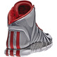 Derrick Rose 4.5 "Scarlet" (gris/rojo/blanco)