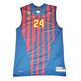 Camiseta de Oleson FC Barcelona Basket 2012/2013