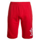 Adidas NBA Chicago Bulls Washed Short Men´s