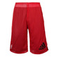 Adidas NBA Bulls Reversible Smer R Short Men´s (Black/Red)