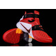 Nike Zoom LeBron Soldier 9 "Cavs Redblack" (606/university red/black/white)