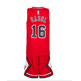 Pack Pau Gasol Chicago Bulls Niño (rojo/blanco/negro)