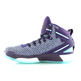 Adidas D Rose 6 Boost Junior "The Phantom" (purple/blue)