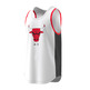 Adidas Training NBA Chicago Bulls