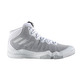 Adidas Crazy Hustle "White Flight"