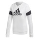 Adidas Essentials Graphic Crewneck Sweatshirt