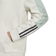 Adidas Essentials Logo Colorblock Hoodie W "Off White"