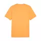 Puma GRAPHICS Mountain "Clementine" T-shirt