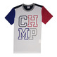 Champion Authentic Rochester Print Tee (multicolor)