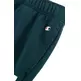 Champion Legacy College Logo Heavy French Terry Joggers "Green"