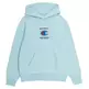 Champion Rochester Future Care Hooded Sweatshirt  "Pale Turquoise"