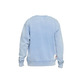 Jordan Flight Fleece Men's Graphic Fleece Crew "Blue"