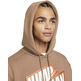 Jordan Jumpman Men's Fleece Pullover Hoodie "Archaeo Bronw"