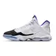 LeBron 19 Low "Concord"