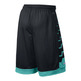 LeBron Driven Short (011/negro/esmeralda)