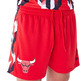 New Era NBA Chicago Bulls Soccer AOP Shorts