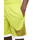 Nike Dri-FIT Basketball Shorts Boys "Moss"