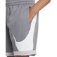 Nike Dri-FIT Basketball Shorts Boys "Smoke Grey"