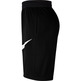 Nike Dri-FIT HBR Basketball Shorts 2.0