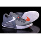 Nike Zoom Live "Cool Grey" (010/cool grey/white)