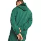 Puma Downtown Graphic Hoodie TR "Vine"