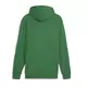 Puma ESS+ 2 Col Big Logo Hoodie TR "Archive Green"