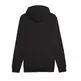 Puma ESS+ 2 Col Big Logo Hoodie TR "Black"