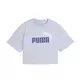 Puma ESS 2 COLOR No. 1 Logo Short Length Tee G"Cool Weather"