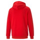 Puma ESS Big Logo Hoodie TR