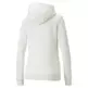 Puma ESS+ Embroidery FZ Hoodie TR