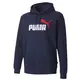 Puma Essentials 2 Col Hoody FL Big Logo