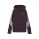 Puma EVOSTRIPE Hoodie "Midnight Plum"