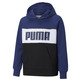 Puma Junior Alpha Hoodie TR