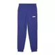 Puma Junior ESS+ 2 Col Logo Pants FL cl B "Lapis Lazuli"