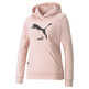 Puma Power Logo Hoodie