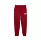 PUMA SQUAD Sweatpants FL cl "Intense Red"