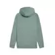 PUMATECH Full-Zip Hoodie DK "Green Moon"