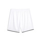 Short Basket Puma Hoops Team "White"