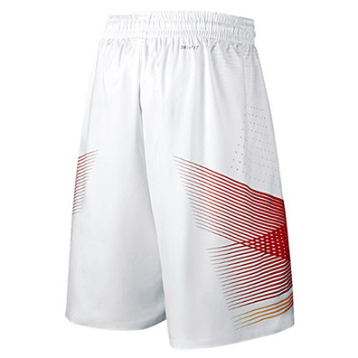 Short Basket Nike Logo Spain Authentic (100/white)