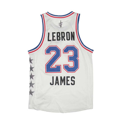 Camiseta Réplica Lebron All Star Este NYC 15 (blanco/azul)