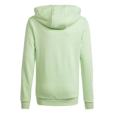 Adidas Junior Big Logo Essentials Cotton Hoodie "Green Mint"