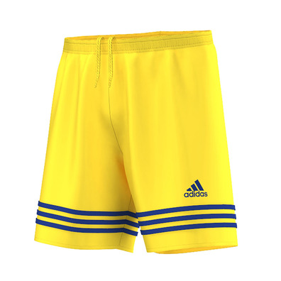 Adidas Short Entrada 12 Sho  (yelow/royal)