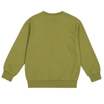 Champion Kids Graphic Fleece Sweatshirt "Olive Green"