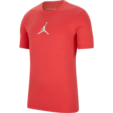 Jordan Jumpman Dri-FIT Short-Sleeve Crew