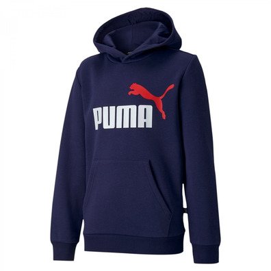 Puma Junior Essentials 2 Col Hoody FL B