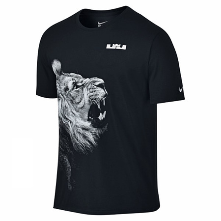 LeBron Camiseta Arch (010/negro/blanco)