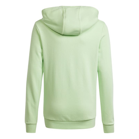 Adidas Junior Big Logo Essentials Cotton Hoodie "Green Mint"