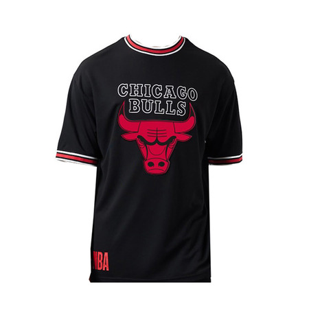 Camiseta Mesh Oversized NBA Chicago Bulls Team # 23 Jordan #